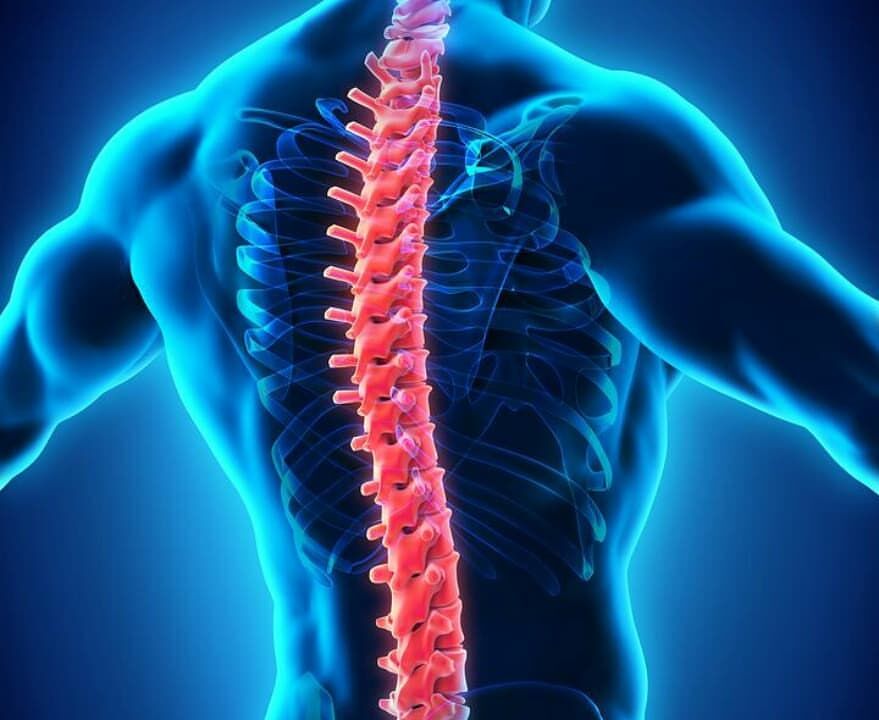 ابداع روشی جدید برای ترمیم ضایعات نخاعی در ایران