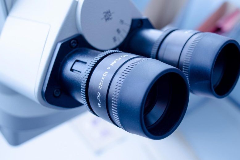 اختراع میکروسکوپ سه‌بعدی که نمونه‌برداری از بافت را در فرآیند درمان حذف می‌کند