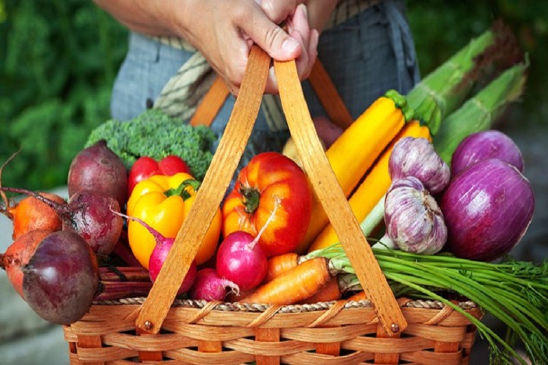 بهترین رژیم غذایی برای سالمندان