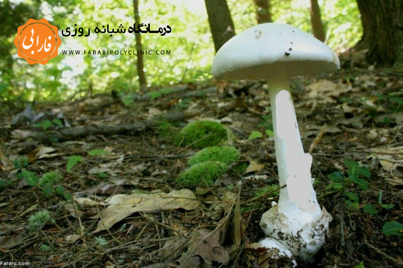 با فرشته تباهی بیشتر آشنا شوید