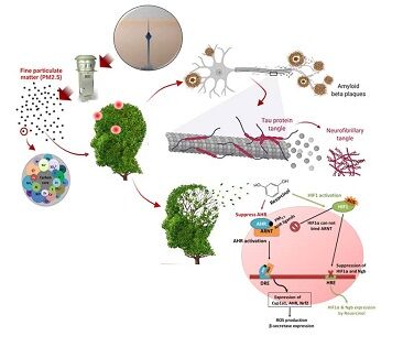 شناسایی اثرات مخرب ریزذرات معلق هوا در بروز آلزایمر در دانشگاه تهران